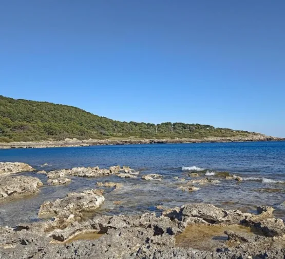 Voyage des hôtes