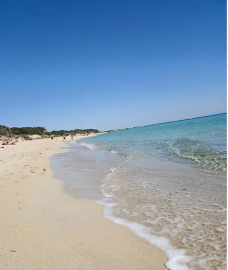 Voyage des hôtes