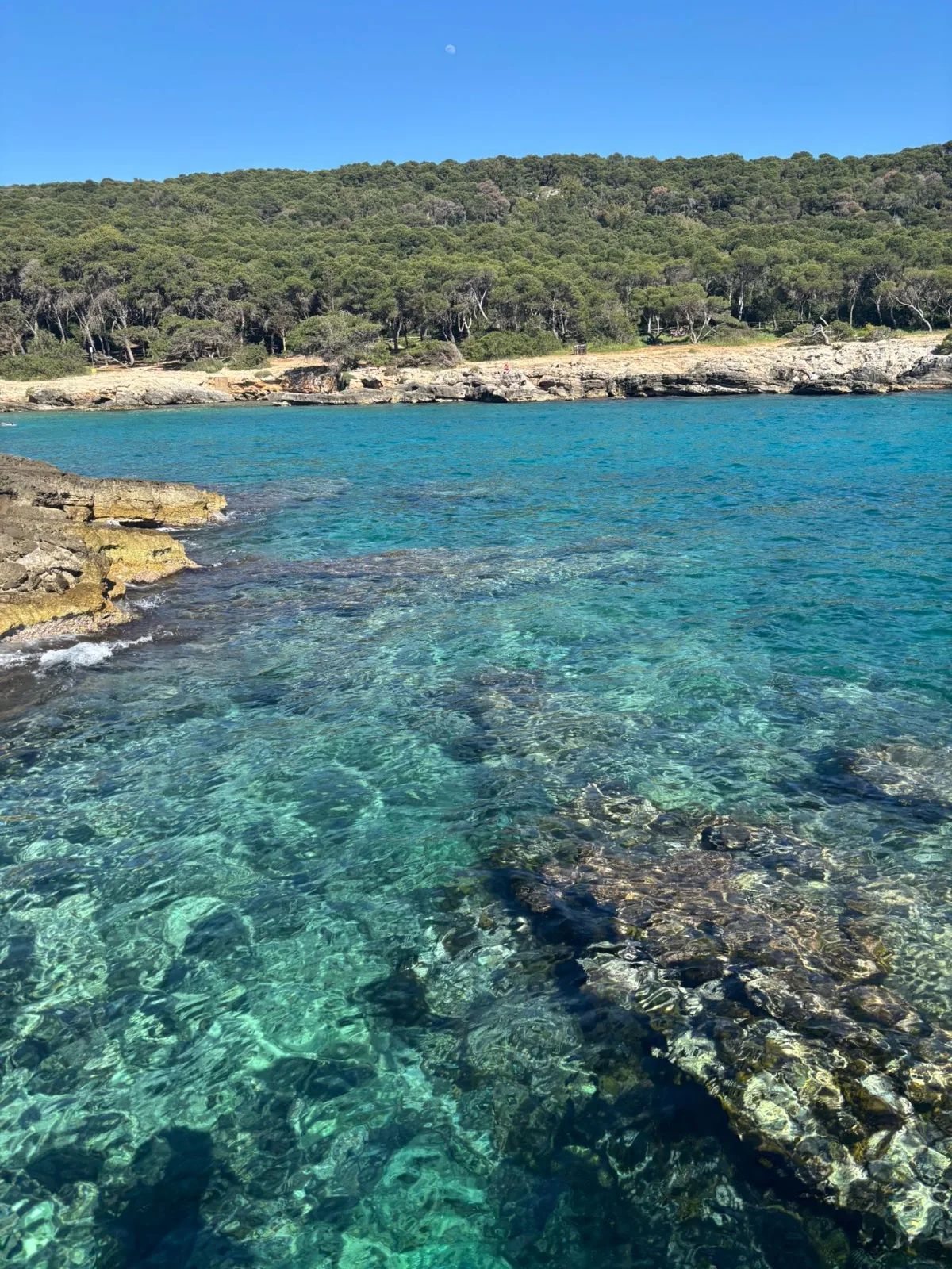 Crique de Porto Selvaggio, eau turquoise et pinède